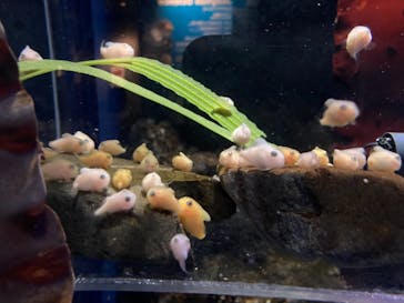 新江ノ島水族館に投稿された画像（2021/10/19）