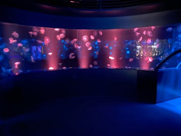 京都水族館に投稿された画像（2021/10/19）