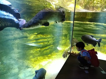 カワスイ 川崎⽔族館に投稿された画像（2021/10/19）