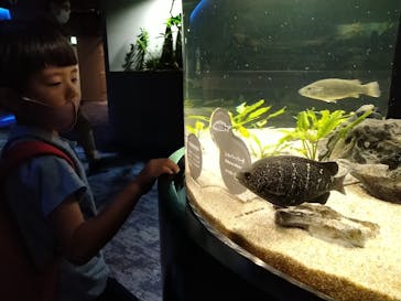 カワスイ 川崎⽔族館に投稿された画像（2021/10/19）