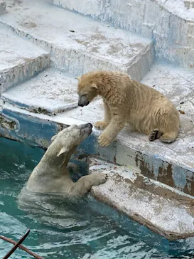 天王寺動物園に投稿された画像（2021/10/19）