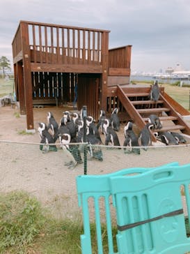 名古屋港水族館に投稿された画像（2021/10/19）