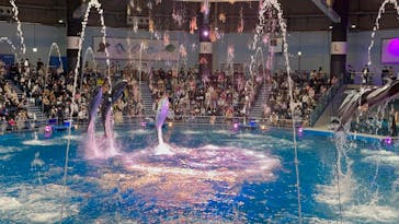 マクセル アクアパーク品川に投稿された画像（2021/10/19）