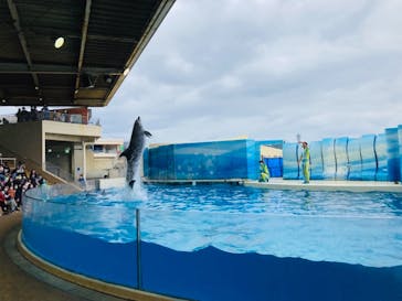 新江ノ島水族館に投稿された画像（2021/10/19）