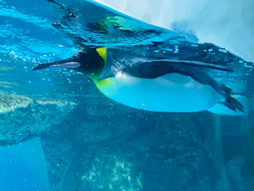 横浜・八景島シーパラダイスに投稿された画像（2021/9/20）