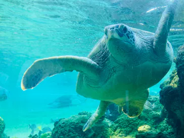 横浜・八景島シーパラダイスに投稿された画像（2021/9/20）