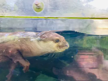 横浜・八景島シーパラダイスに投稿された画像（2021/9/20）