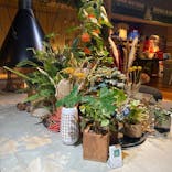 おふろcafé ハレニワの湯に投稿された画像（2021/10/19）