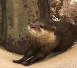 ひらかたパークに投稿された画像（2021/10/19）