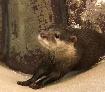 ひらかたパークに投稿された画像（2021/10/19）