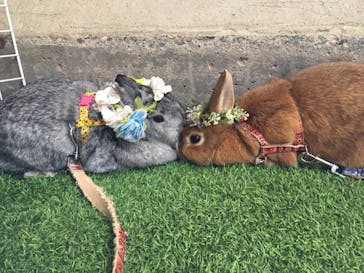 伊香保グリーン牧場に投稿された画像（2021/10/19）