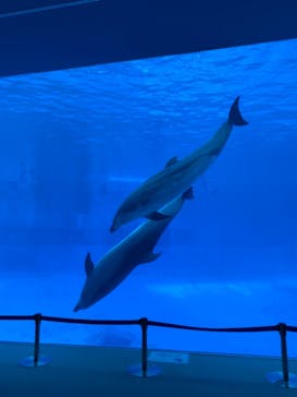 名古屋港水族館に投稿された画像（2021/10/19）