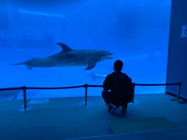 名古屋港水族館に投稿された画像（2021/10/19）