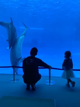 名古屋港水族館に投稿された画像（2021/10/19）