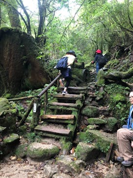 屋久島ガイド21EC-Kに投稿された画像（2021/10/19）