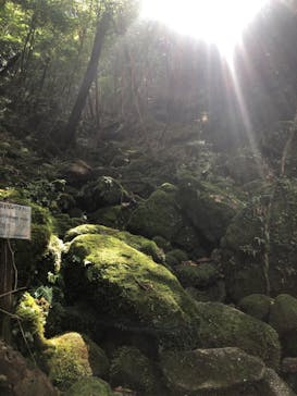 屋久島ガイド21EC-Kに投稿された画像（2021/10/19）