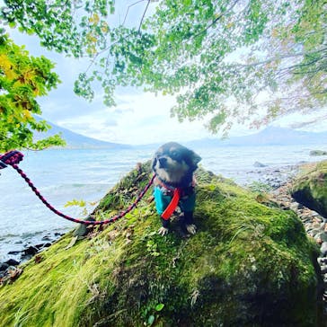 Ezo Nature ACT（エゾネイチャーアクト）に投稿された画像（2021/10/19）