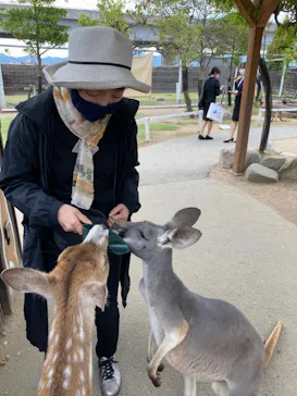 神戸どうぶつ王国に投稿された画像（2021/10/20）