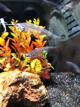 サンシャイン水族館に投稿された画像（2021/10/20）