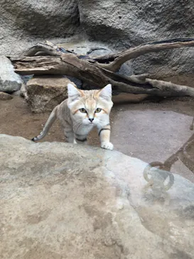 神戸どうぶつ王国に投稿された画像（2021/10/20）