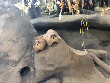 神戸どうぶつ王国に投稿された画像（2021/10/20）