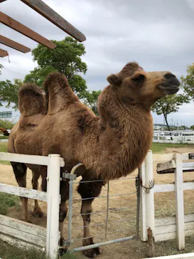神戸どうぶつ王国に投稿された画像（2021/10/20）