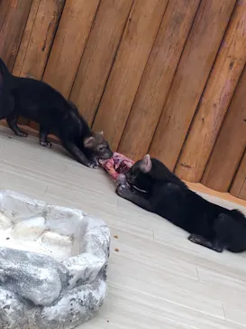 神戸どうぶつ王国に投稿された画像（2021/10/20）