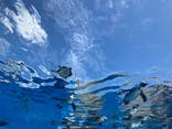 サンシャイン水族館に投稿された画像（2021/10/20）