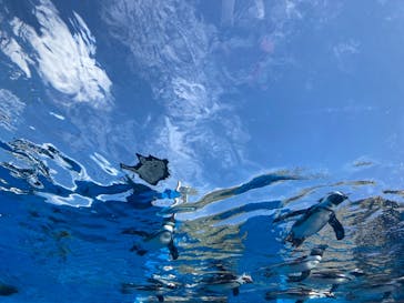 サンシャイン水族館に投稿された画像（2021/10/20）