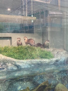 サンシャイン水族館に投稿された画像（2021/10/20）