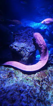 すみだ水族館に投稿された画像（2021/10/20）