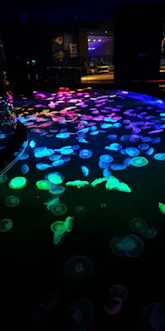 すみだ水族館に投稿された画像（2021/10/20）