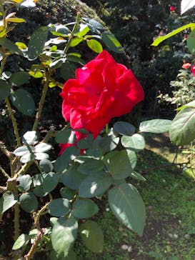 鳩山会館に投稿された画像（2021/10/20）