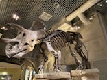 国立科学博物館に投稿された画像（2021/10/20）