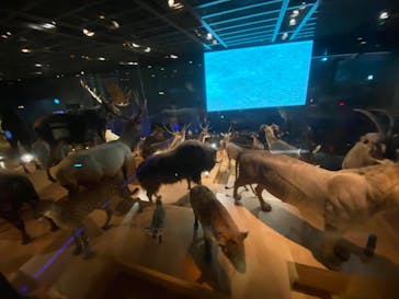 国立科学博物館に投稿された画像（2021/10/20）