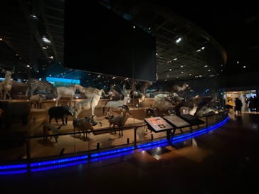 国立科学博物館に投稿された画像（2021/10/20）