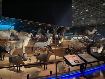 国立科学博物館に投稿された画像（2021/10/20）