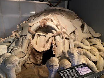 国立科学博物館に投稿された画像（2021/10/20）