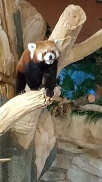 ネオパークオキナワに投稿された画像（2021/10/20）