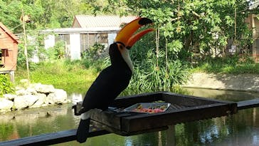 ネオパークオキナワに投稿された画像（2021/10/20）