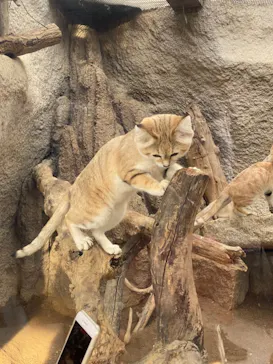 神戸どうぶつ王国に投稿された画像（2021/10/20）