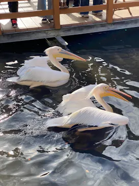 神戸どうぶつ王国に投稿された画像（2021/10/20）