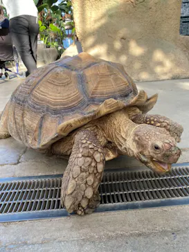 神戸どうぶつ王国に投稿された画像（2021/10/20）