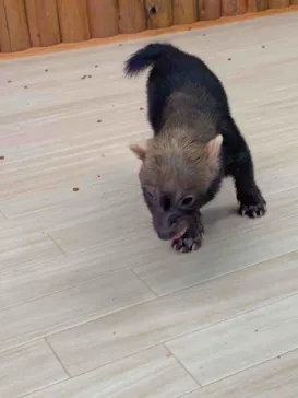 神戸どうぶつ王国に投稿された画像（2021/10/20）