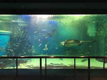 越前松島水族館に投稿された画像（2021/10/20）