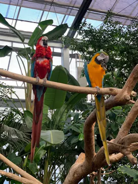 神戸どうぶつ王国に投稿された画像（2021/10/20）