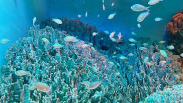 サンシャイン水族館に投稿された画像（2021/10/20）