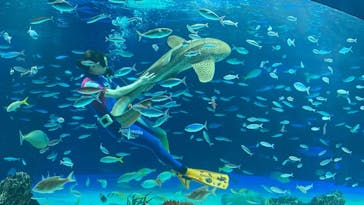 サンシャイン水族館に投稿された画像（2021/10/20）