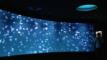 サンシャイン水族館に投稿された画像（2021/10/20）