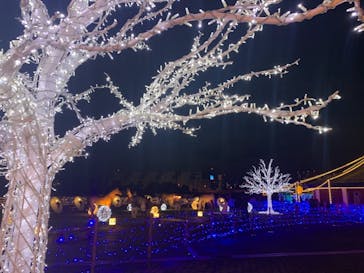 東京メガイルミに投稿された画像（2021/10/20）